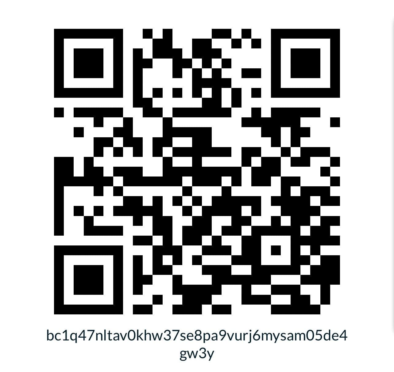 Bitcoin on-chain donation QR
